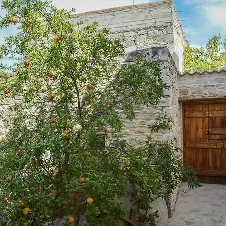 Case de vacanță Ioanna 's Place *
